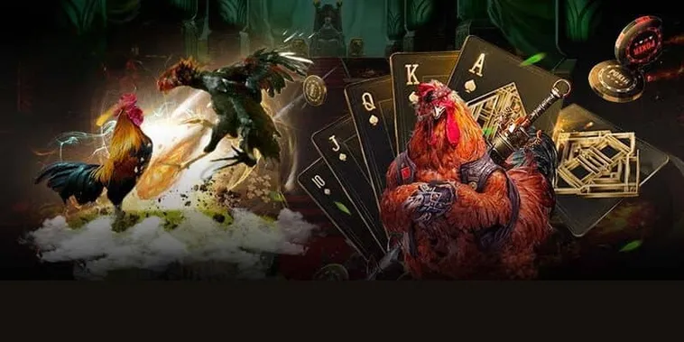 Hướng Dẫn Cách Chơi Đá Gà GA28 Tại 77Bet Chi Tiết Nhất 2 Hướng Dẫn Cách Chơi Đá Gà GA28 Tại 77Bet Chi Tiết Nhất